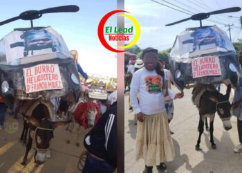 “El burro Helicóptero de Francia Márquez”., Ganó el Primer Puesto en el Festival de San Antero, Córdoba.