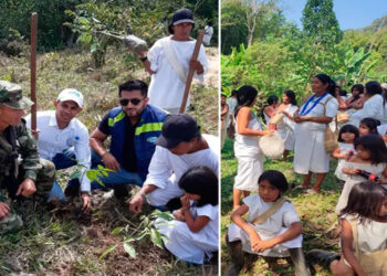 En Palmor, Comunidad Indígena Sembró más de 200 Arboles.