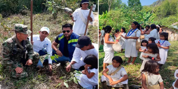 En Palmor, Comunidad Indígena Sembró más de 200 Arboles.