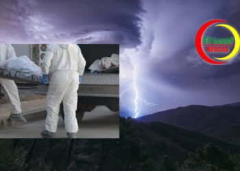 Un Rayo Mato a “El Pajaro” en Nueva Granada.