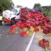 Un Camión Cargado de Mangos se Volcó a la altura de la ‘Ye’ de Ciénaga