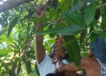 Menor de 13 Años se Ahorcó porque el Papá no le Prestó la Moto.