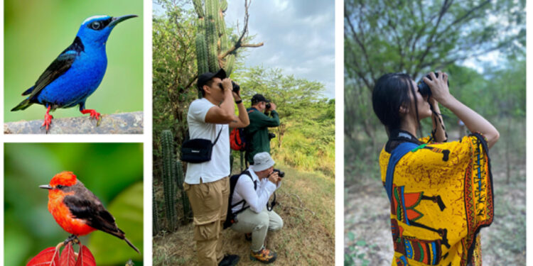 La Guajira: Un Hermoso Territorio para el Avistamiento de Aves en el Caribe