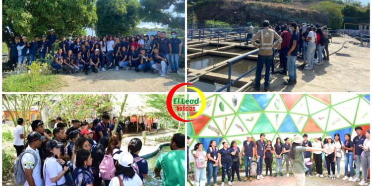 Estudiantes del programa SST de Infotep fortalecen competencias mediante salidas académicas