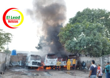 Busetas de Cootrasunimag, fueron consumidas por Incendio en Cienaga.