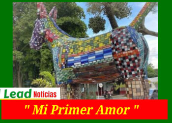 “Mi Primer Amor»: Escultura La «Burra» Causa Polémica  En La Costa Caribe
