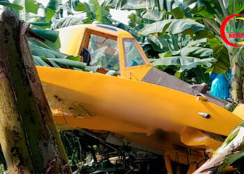 Avioneta de Fumigación Cayó en Zona Bananera. La maniobra del Piloto Evitó una tragedia.