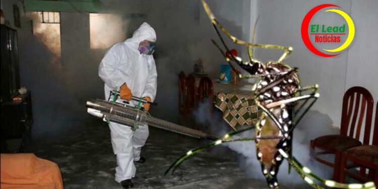 Alerta en Colombia por Casos de Dengue: Se Han Registrado Más de 50 Mil Casos.