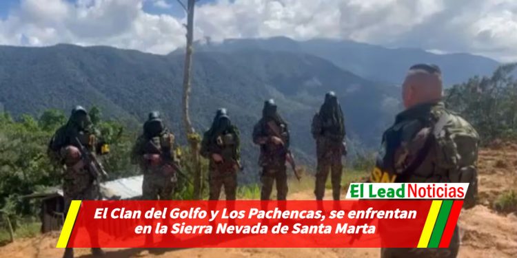 El Clan del Golfo y Los Pachencas, se enfrentan en la Sierra Nevada de Santa Marta