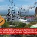 En Julio Sonaran las Guitarras y las Voces del Caribe Colombiano