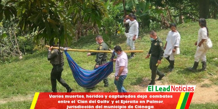 Varios muertos, heridos y capturados deja  combates entre el ‘Clan del Golfo’ y el Ejército en Palmor, jurisdicción del municipio de Ciénaga.