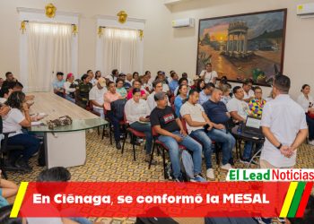 En Ciénaga, se conformó la MESAL