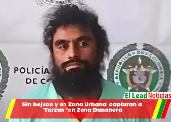 Sin bejuco y en Zona Urbana, capturan a “Tarzan ”en Zona Bananera