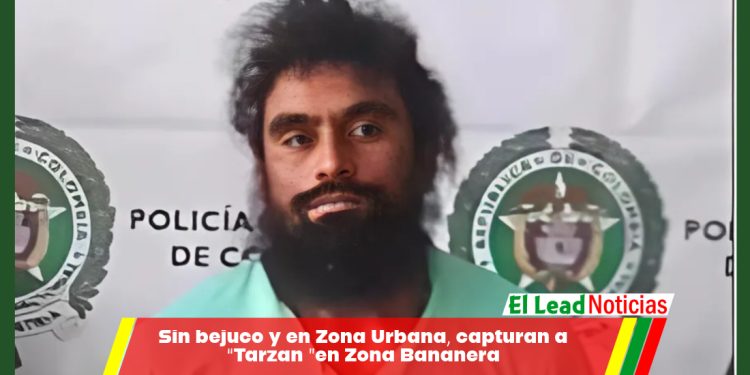 Sin bejuco y en Zona Urbana, capturan a “Tarzan ”en Zona Bananera