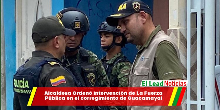 Alcaldesa Ordenó intervención de La Fuerza Pública en el corregimiento de Guacamayal