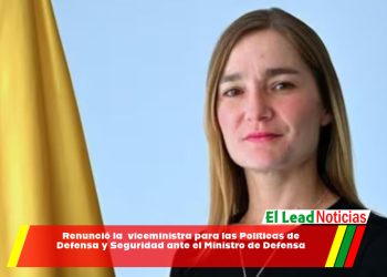 Renunció la viceministra para las Políticas de Defensa y Seguridad ante el Ministro de Defensa