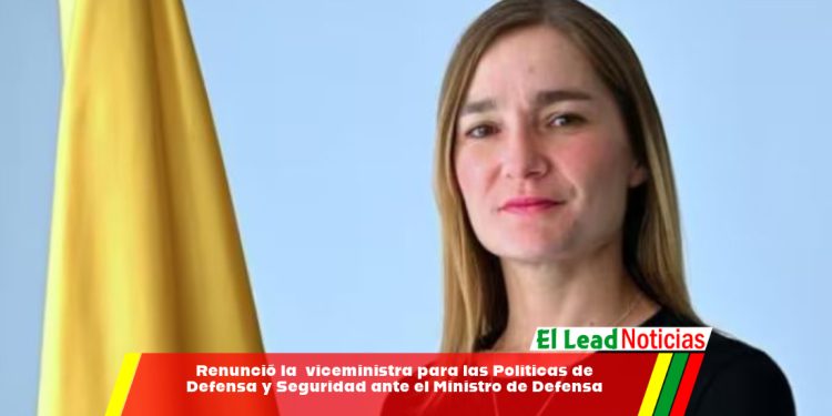 Renunció la viceministra para las Políticas de Defensa y Seguridad ante el Ministro de Defensa