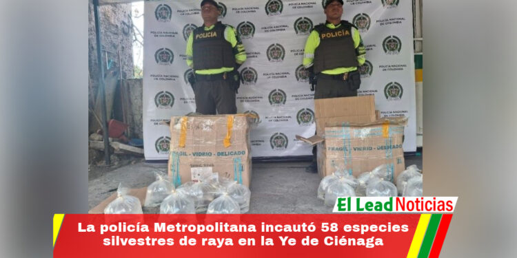 La policía Metropolitana incautó 58 especies silvestres de raya en la Ye de Ciénaga