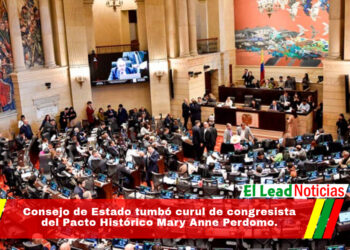 Consejo de Estado tumbó curul de congresista del Pacto Histórico Mary Anne Perdomo.