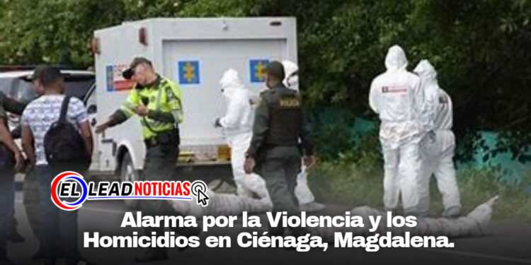 Alarma por la Violencia y los Homicidios en Ciénaga, Magdalena.