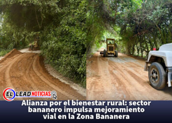Alianza por el bienestar rural: sector bananero impulsa mejoramiento vial en la Zona Bananera